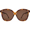 Illesteva Nancy Sunglasses In Brown