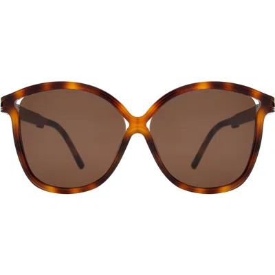 Illesteva Nancy Sunglasses In Brown