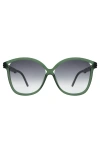 Illesteva Nancy Sunglasses In Pine/grey