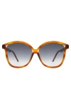 Illesteva Nancy Sunglasses In Red Havana/grey