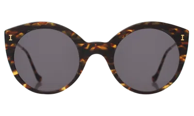 Illesteva Palm Beach Sunglasses In Tortoise Stripes / Grey