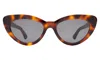 Illesteva Pamela Sunglasses In Brown