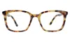 Illesteva Portland Optical In Tortoise / Optical