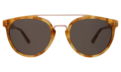 Illesteva Puglia Sunglasses In Amber/rose Gold / Grey Flat