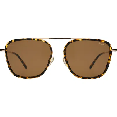 Illesteva Samos Ace Sunglasses In Brown