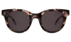 Illesteva Sicilia Sunglasses In Blush Tortoise / Grey