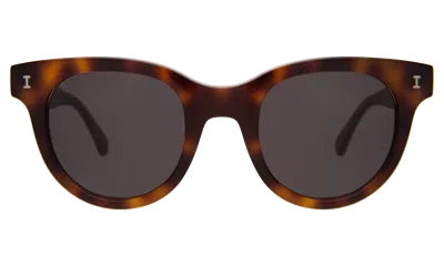 Illesteva Sicilia Sunglasses In Havana / Grey