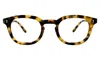Illesteva Slope Optical In Tortoise / Optical