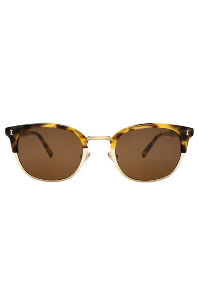Illesteva Stockholm Sunglasses In Brown