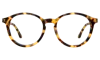 Illesteva Twain Optical In Tortoise / Optical