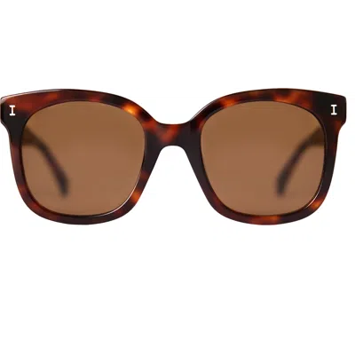 Illesteva Valencia Sunglasses In Brown