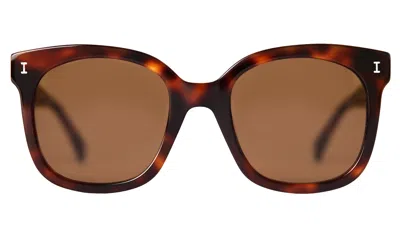 Illesteva Valencia Sunglasses In Havana / Brown