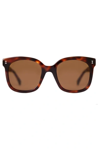 Illesteva Valencia Sunglasses In Havana/brown