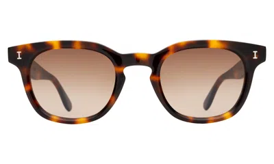Illesteva Veneto Sunglasses In Animal Print