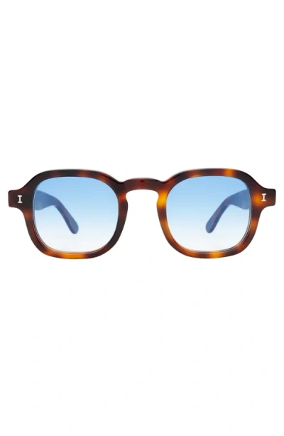 ILLESTEVA ILLESTEVA WASHINGTON SUNGLASSES