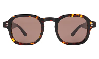 Illesteva Washington Sunglasses In Brown