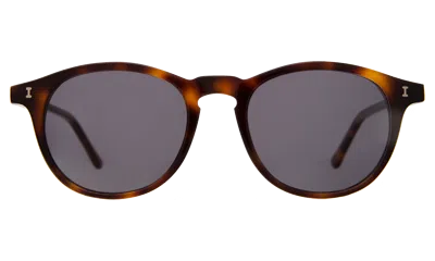 Illesteva Whitman Sunglasses In Black / Brown