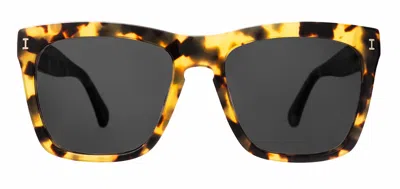Illesteva Women's Los Feliz Sunglasses In Tortoise