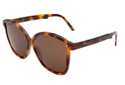Illesteva Nancy Sunglasses In Brown