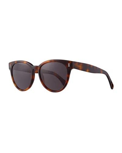 Illesteva York Acetate Butterfly Sunglasses In Brown