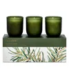 Illume Balsam & Cedar Candle Trio Gift Set