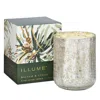 Illume Balsam & Cedar Small Crackle Glass Candle, 8.3 Oz. In Green