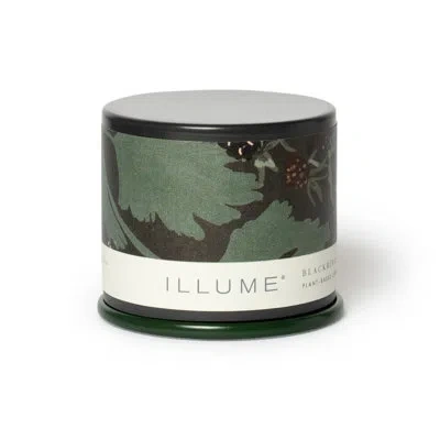 Illume Beautifully Done Blackberry Absinthe Candle In Green;gray