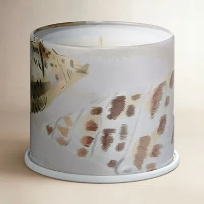 Illume Beautifully Done Driftwood Candle In Multi Color