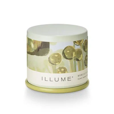 Illume Beautifully Done Terra Tabac Candle In Multicolor