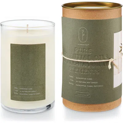 Illume ® Elemental Eucalyptus Ylang Natural Glass Candle In Green