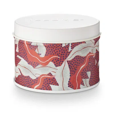 Illume Meenal Patel Artist Series Talking Trees Scented Glass Candle In Multicolor