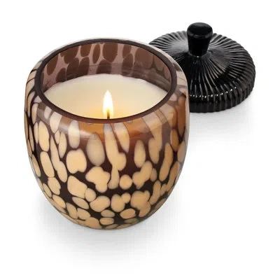 Illume Midnight Pumpkin Glass Acorn Candle In Black;brown
