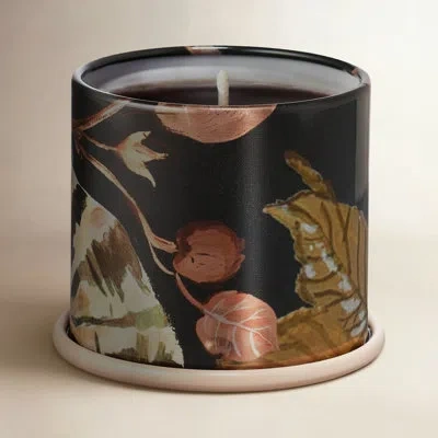 Illume Noble Holiday Collection Midnight Pumpkin Demi Vanity Tin Candle, 3 oz In Black;midnight Pumpkin