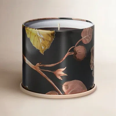Illume Noble Holiday Collection Midnight Pumpkin Vanity Tin Candle, 11.8 oz In Black;midnight Pumpkin