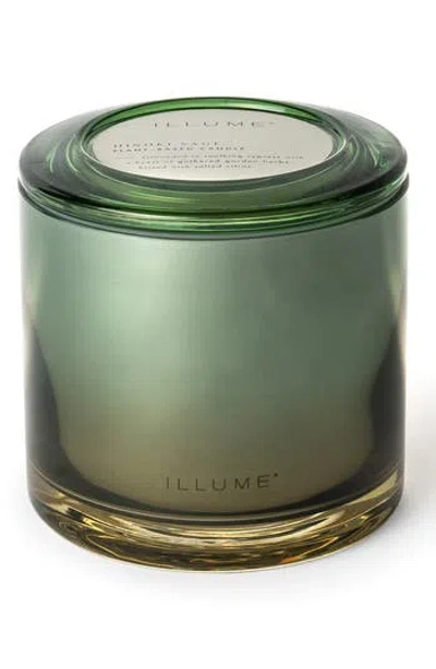 Illume ® Terra Tabac Paloma Petal Statement Glass Candle In Green