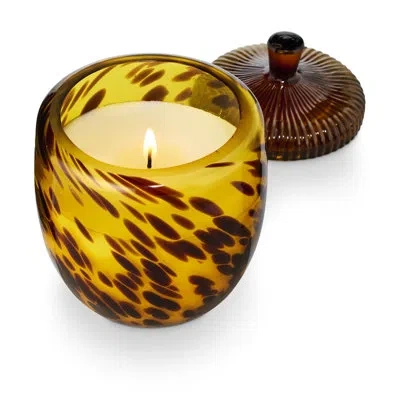 Illume Woodfire Glass Accorn Candle In Multicolor