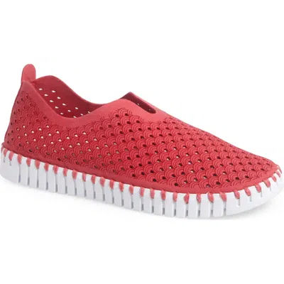 Ilse Jacobsen Tulip 139 Perforated Slip-on Sneaker In Viva Magenta