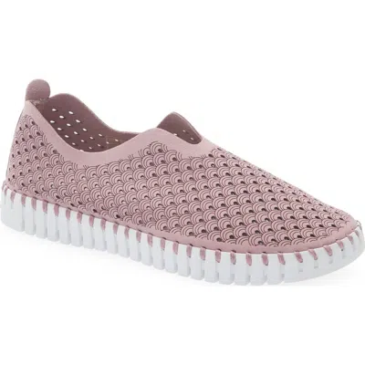 Ilse Jacobsen Tulip 139 Perforated Slip-on Sneaker In Multi