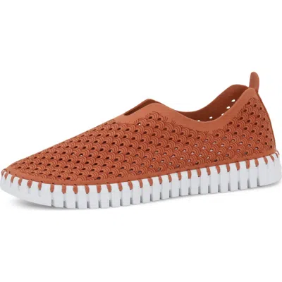 Ilse Jacobsen Tulip 139 Perforated Slip-on Sneaker In Brown