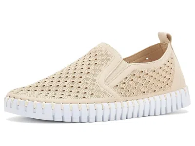 Ilse Jacobsen Tulip 140wom Women's Shoes Kit: Eu 38 (us Women's 8) M In Neutral