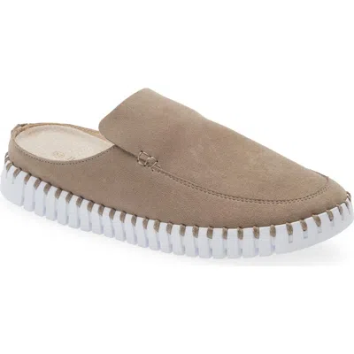 Ilse Jacobsen Tulip 3420 Mule In Brown
