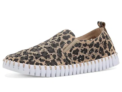 Ilse Jacobsen Tulip 3972leo In Brown