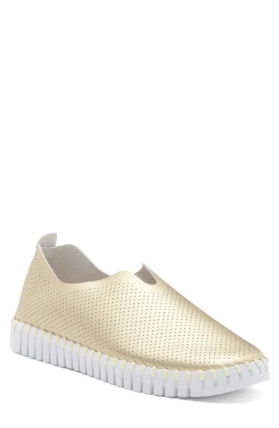 Ilse Jacobsen Tulip Perforated Slip-on Sneaker In Platin