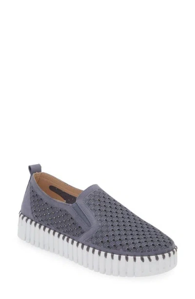 Ilse Jacobsen Tulip Slip-on Sneaker In Grey Blue