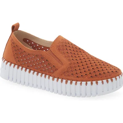 Ilse Jacobsen Tulip Slip-on Sneaker In Brown