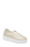 Ilse Jacobsen Tulip Sneaker In Platino