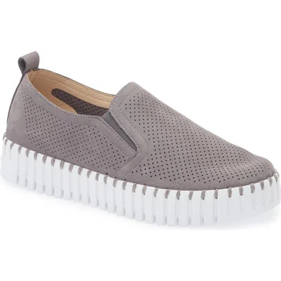 Ilse Jacobsen Tulipu Perforated Platform Sneaker In Smoked Pearl