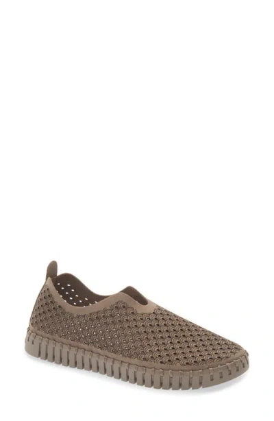 Ilse Jacobsen Tulipu Perforated Slip-on Sneaker In Brown