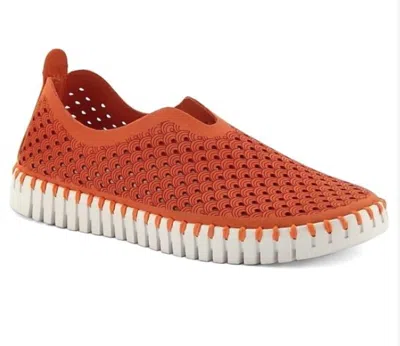 Ilse Jacobsen Women's Camelia Tulip Shoe In Orange