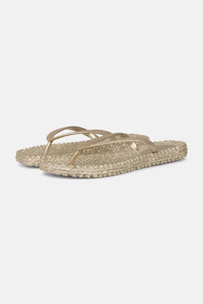 Ilse Jacobsen Women's Cheerful Flip Flops In Platinum In Silver
